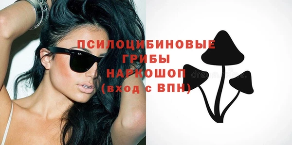 тгк Алзамай