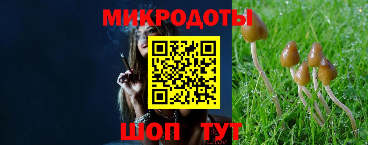 Галлюциногенные грибы GOLDEN TEACHER Пенза