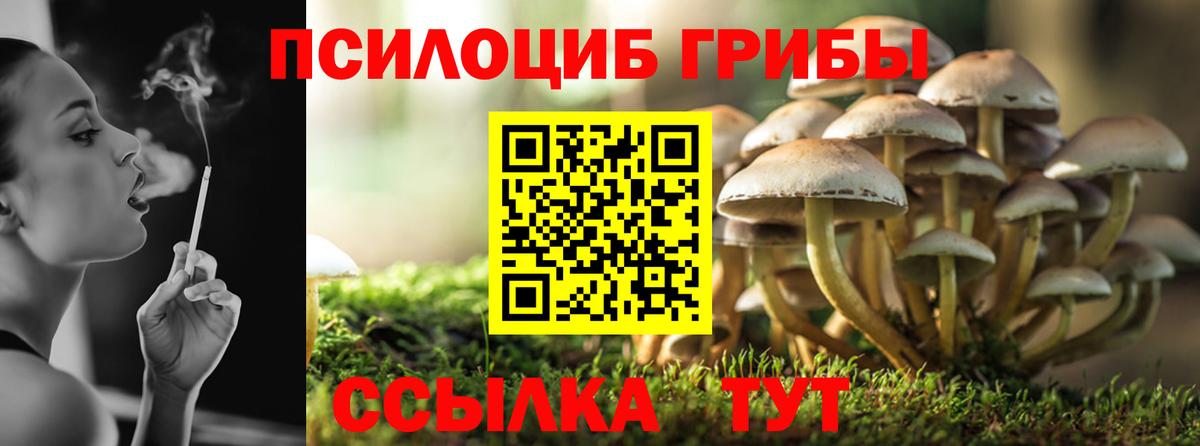 Пенза  Галлюциногенные грибы MAGIC MUSHROOMS  Вход с VPN  Галлюциногенные грибы MAGIC MUSHROOMS 